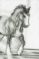 Horse Power