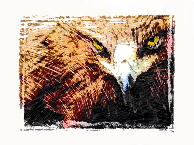 Red Tail