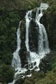 Waipunga Falls.JPG