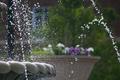 Fountain Spray