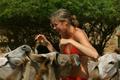 Kristin in Bonaire, NA with the donkeys