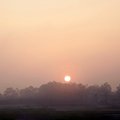 Georgia Peach Sunrise