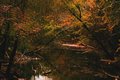 creek  grain added