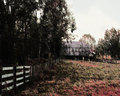 Farm