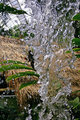Under the waterfall