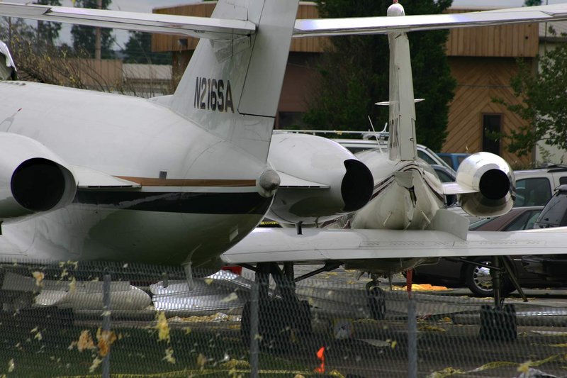 Lear-and-Falcon-web.jpg