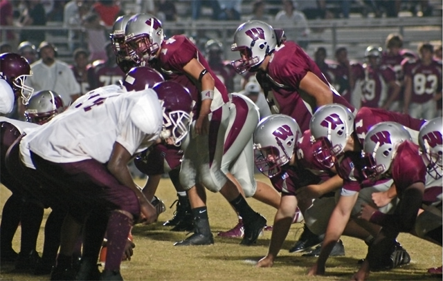 Wildcat Defense