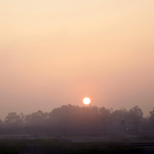 Georgia Peach Sunrise