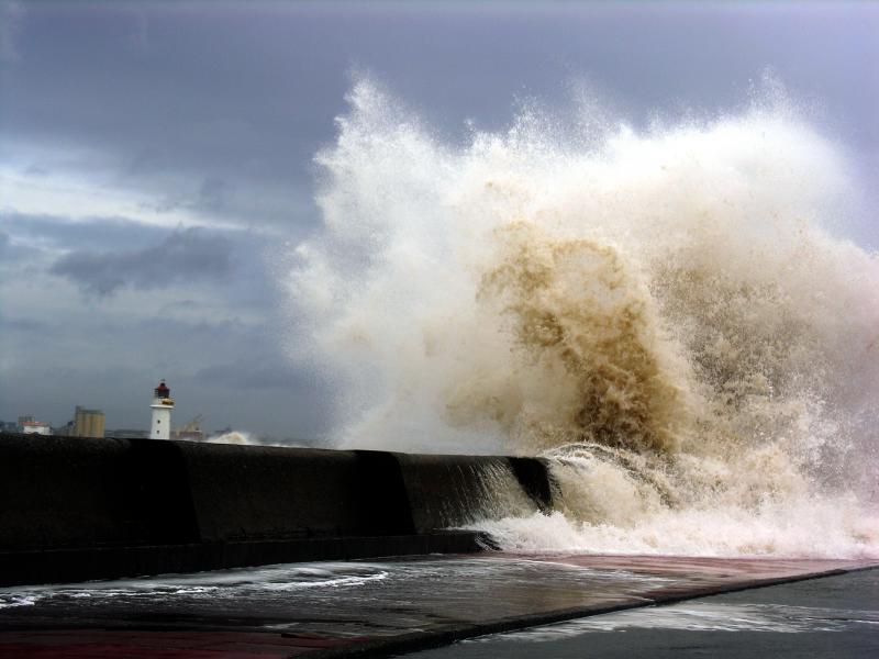 Wave