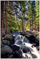 Colorado Stream
