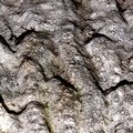 Concrete Planter 2 (Textures - Day 13)