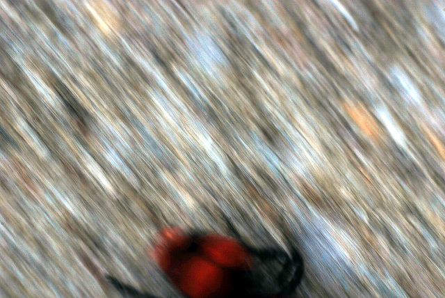 Day 23 of 50 - No Look Fast Bug Macro
