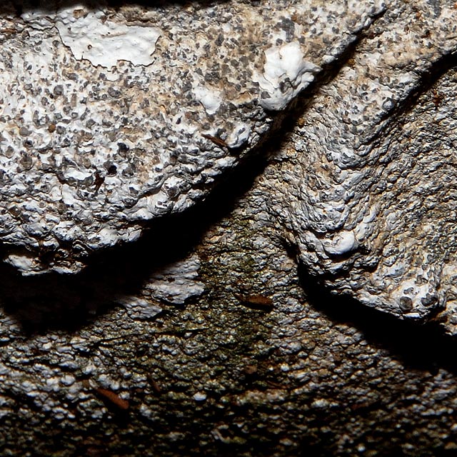 Concrete Planter 1 (Textures - Day 11)