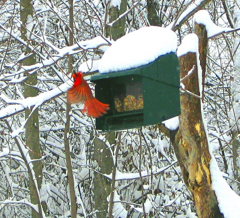 A splash of warmth on a cold day