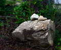 Forgotten Cairn