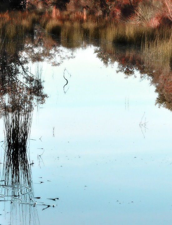 Free Study 2009-07 - Reflect