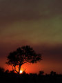 night falls