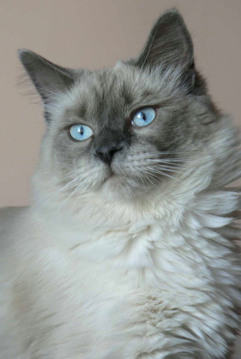 Sally