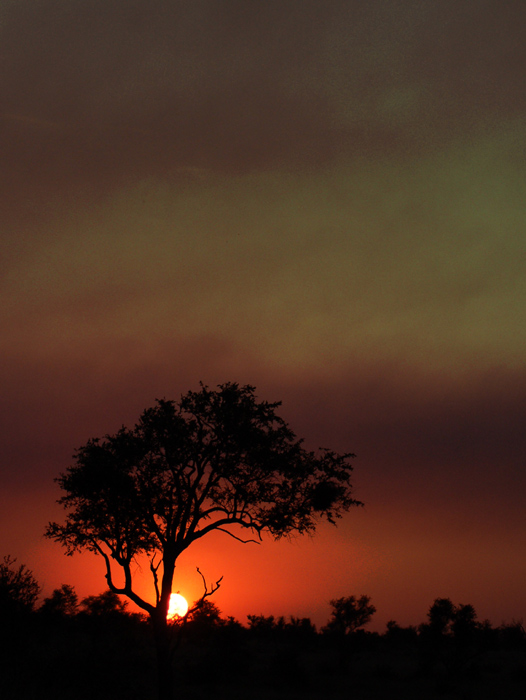 night falls