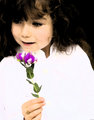_MG_7239_watercolor.jpg