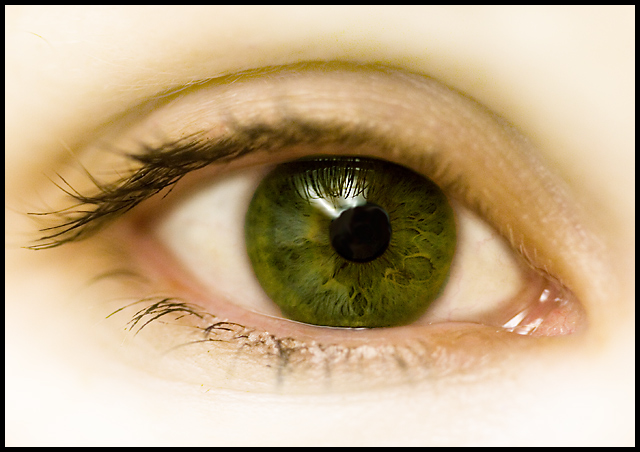 Eye_6653.jpg
