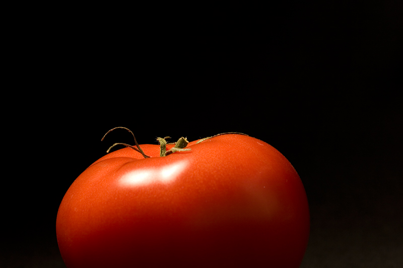 TomatoOuttake_1790.jpg