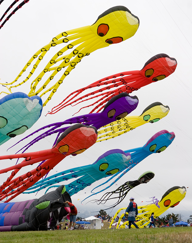 Kites_2452.jpg
