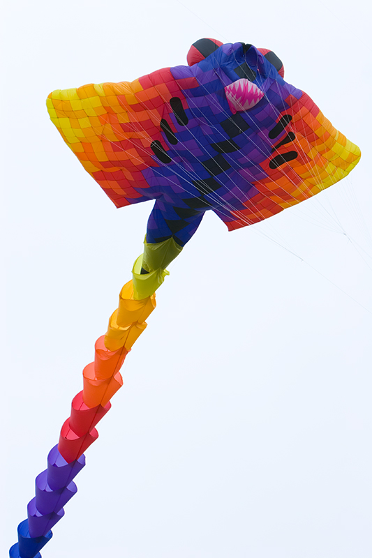 Ray_2489.jpg
