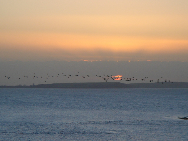 Sunsets Goodbye