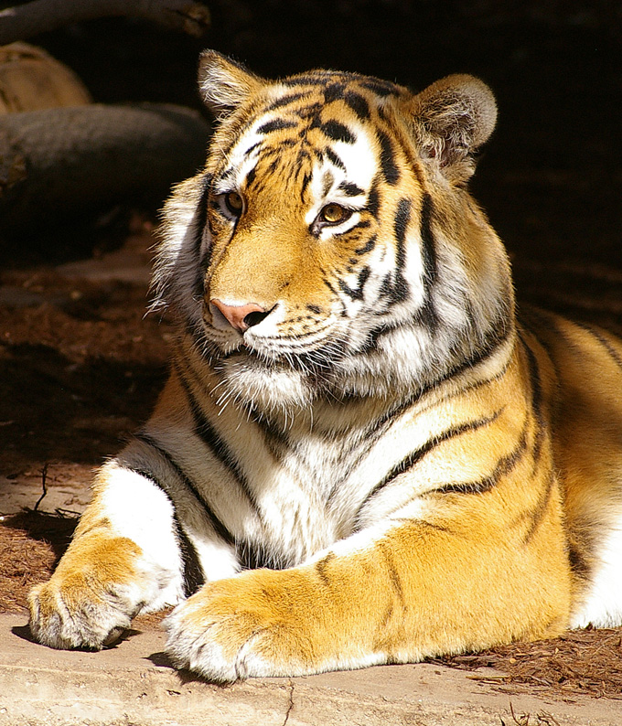 IMGP3177.jpg
