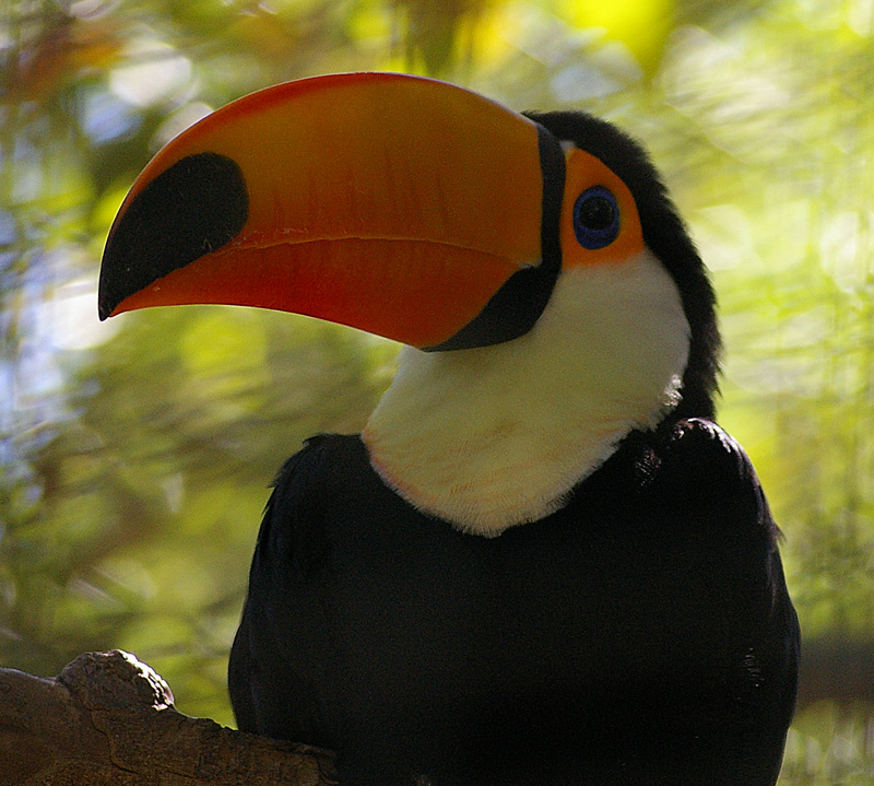 IMGP3140.jpg