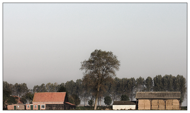 Dutch Farm