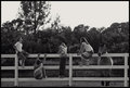 Wild Hearts Ranch