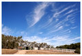 Wild Hearts Ranch