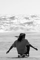 free bird II