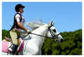 pretty pony