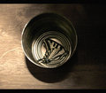 butterfly in a can