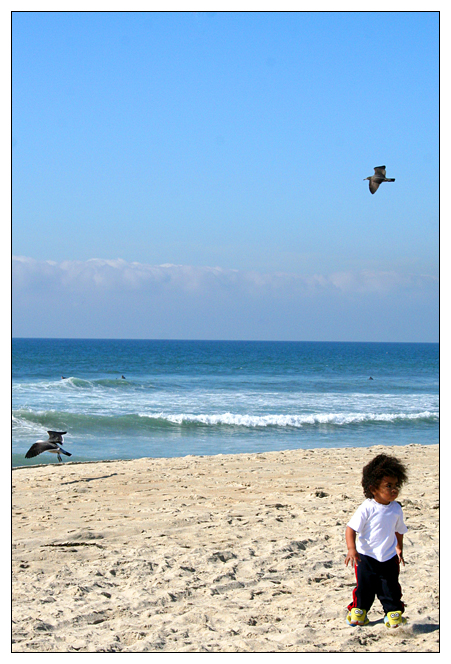 i want to get away. i want to fly away.