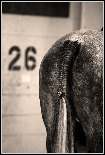 entailed beauty