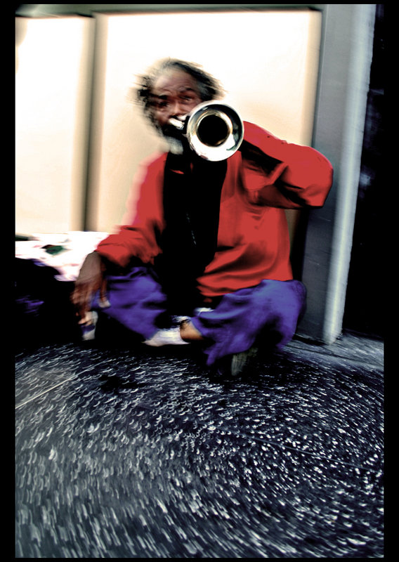the trumpeteer