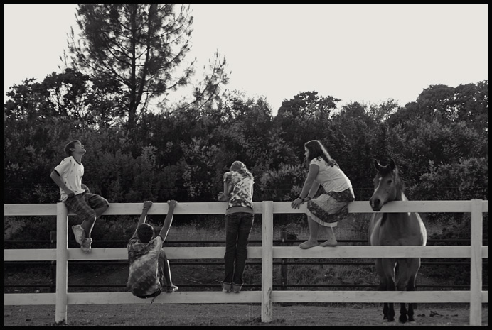 Wild Hearts Ranch