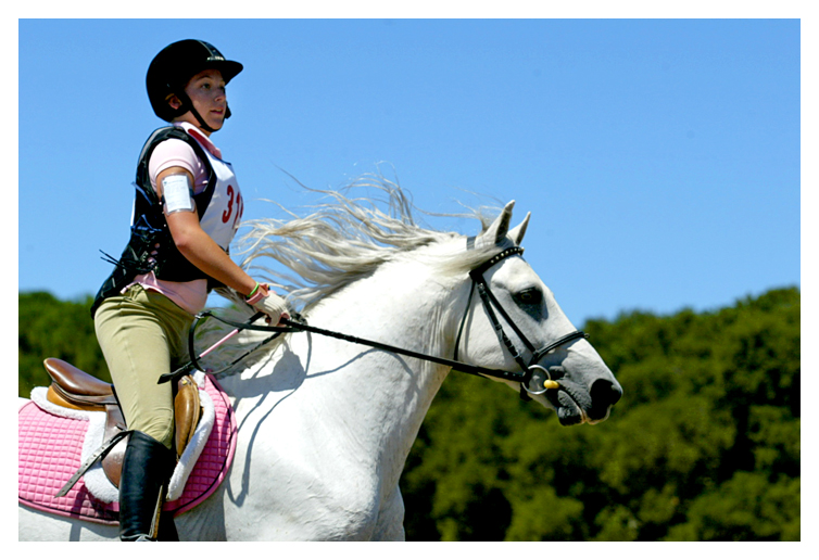 pretty pony