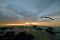 Towards the Sun