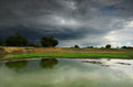The Pond