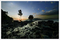 Dream Scape