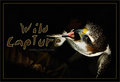 WIld Capture