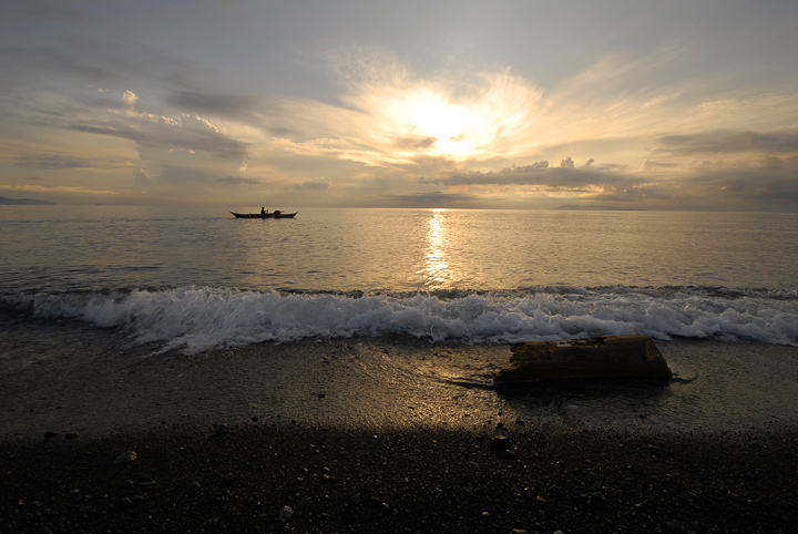 Drift Wood