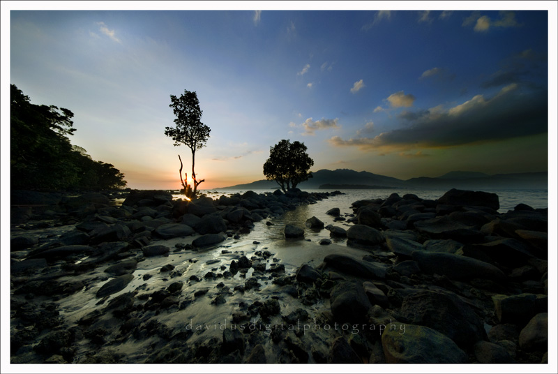 Dream Scape