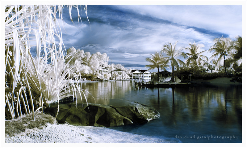 Pond IR