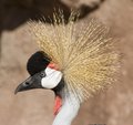 lo_zoo_MG_6435.jpg